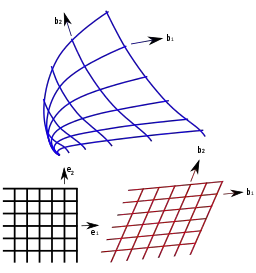 Coordenadas curvilíneas (arriba), afines (abajo a la derecha) y cartesianas (abajo a la izquierda) en un espacio bidimensional.  Imagen: Bbanerje|Wikimedia Commons.