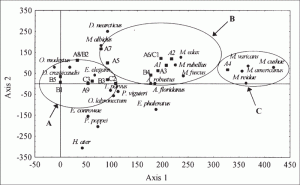 gráfico de análisis de correspondencia