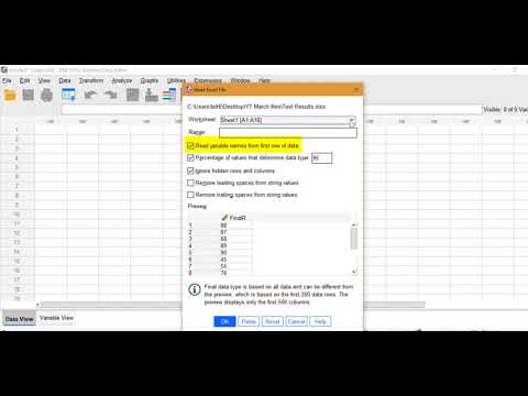 Excel to SPSS: How to Import Data