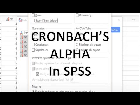 Cronbachs Alpha SPSS
