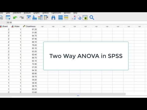 How to Run a Two Way ANOVA in SPSS