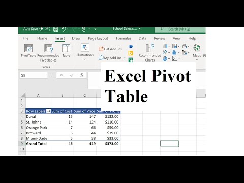 How to Make a Pivot Table in Excel (in 5 minutes!)