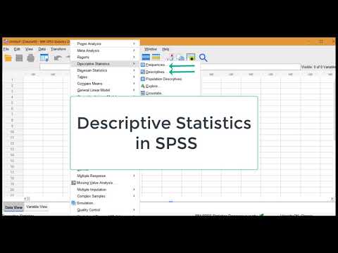 Descriptive Statistics SPSS