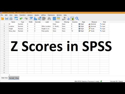 Z scores in SPSS: How to Create