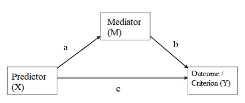 variable mediadora