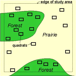 El muestreo aleatorio estratificado es útil cuando se pueden subdividir áreas.  Imagen: Estado de Oregón