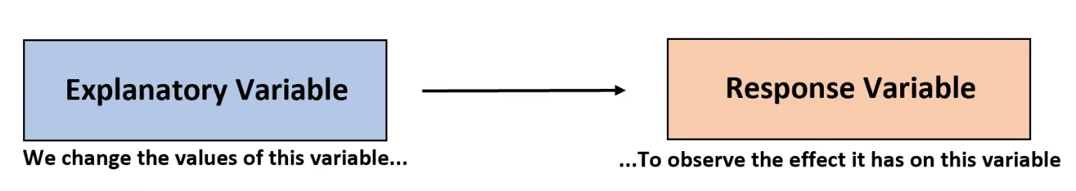 variables-explicativas-y-de-respuesta-definici-n-y-ejemplos-en-2023